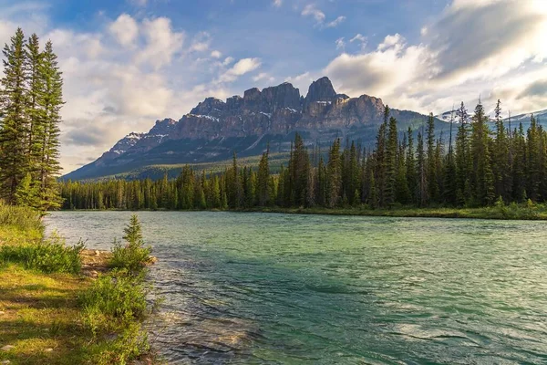Bright Summer Day Castle Mountain Banff National Park — 图库照片
