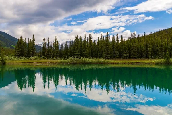 Panoramic Reflection Trees Banff Lake — Stockfoto