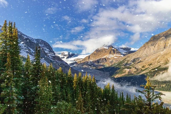 バンフ山脈と森の上の降雪 — ストック写真