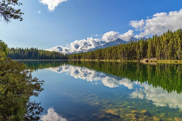 Reflejo Montañas Árboles Lago Parque — Foto de Stock