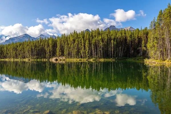 Reflet Des Montagnes Des Arbres Sur Lac Herbert — Photo