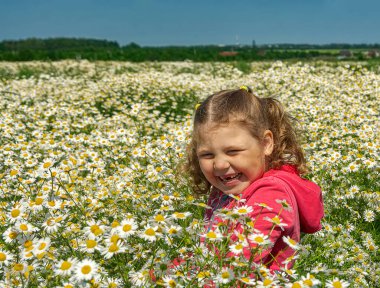 Çiçekli papatyalarla koca bir tarlada yürüyen bir kız.. 