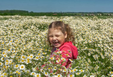 Çiçekli papatyalarla koca bir tarlada yürüyen bir kız.. 