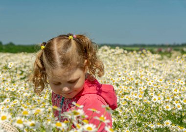 Çiçekli papatyalarla koca bir tarlada yürüyen bir kız.. 