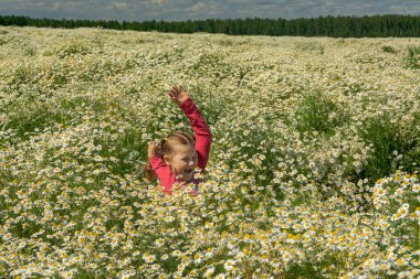 Çiçekli papatyalarla koca bir tarlada yürüyen bir kız..
