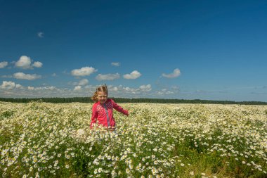 Çiçekli papatyalarla koca bir tarlada yürüyen bir kız.. 