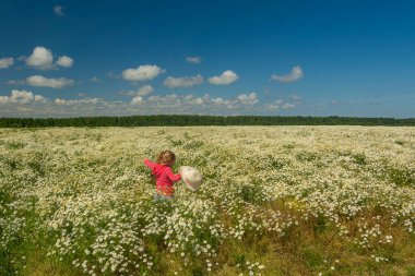 Çiçekli papatyalarla koca bir tarlada yürüyen bir kız.. 