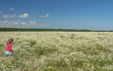Çiçekli papatyalarla koca bir tarlada yürüyen bir kız.. 