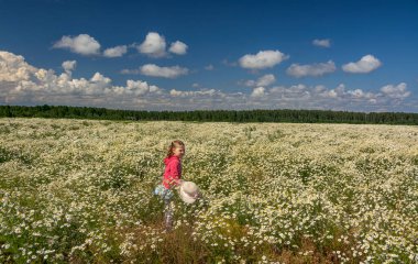 Çiçekli papatyalarla koca bir tarlada yürüyen bir kız.. 