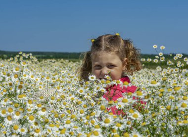 Çiçekli papatyalarla koca bir tarlada yürüyen bir kız.. 