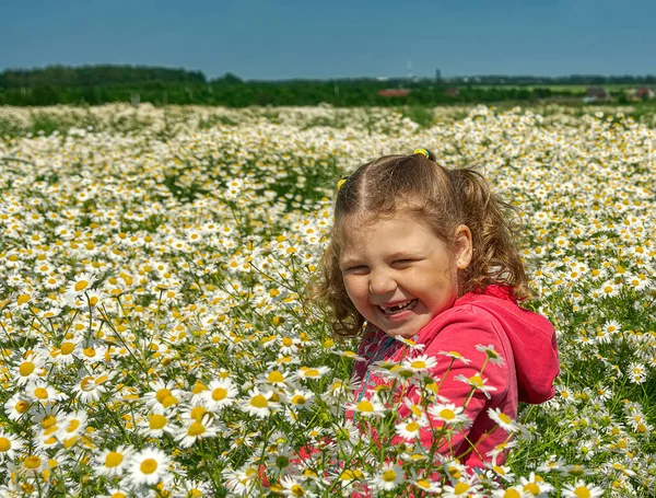 Çiçekli papatyalarla koca bir tarlada yürüyen bir kız.. 