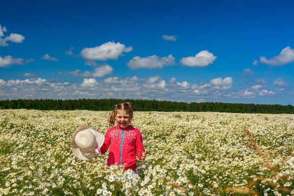 Çiçekli papatyalarla koca bir tarlada yürüyen bir kız.. 