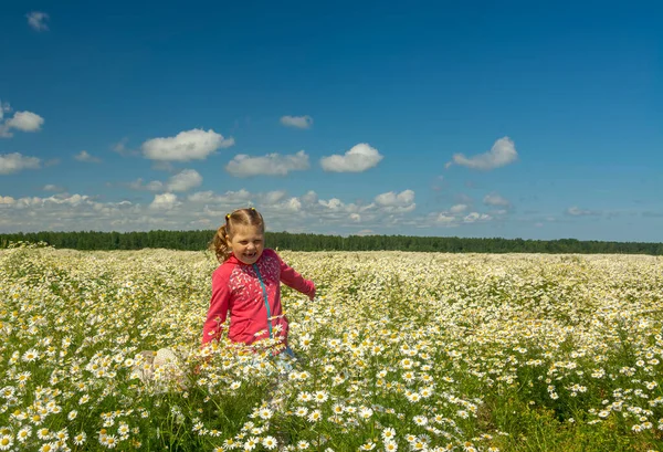 Çiçekli papatyalarla koca bir tarlada yürüyen bir kız.. 