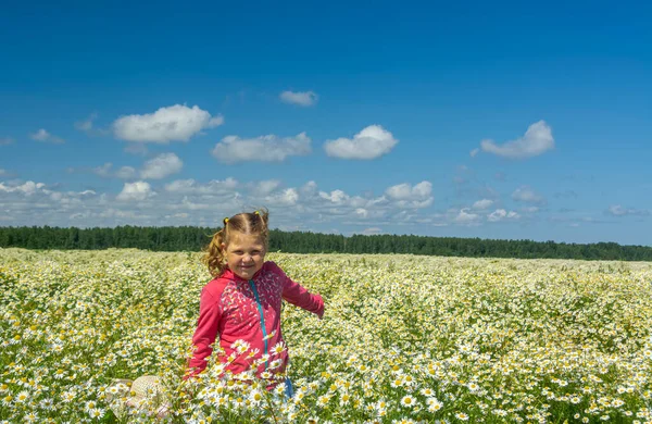 Çiçekli papatyalarla koca bir tarlada yürüyen bir kız.. 