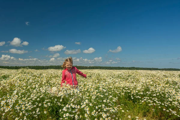 Çiçekli papatyalarla koca bir tarlada yürüyen bir kız.. 