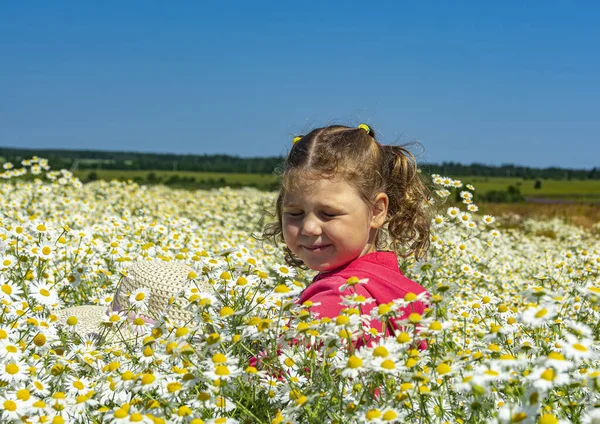 Çiçekli papatyalarla koca bir tarlada yürüyen bir kız.. 