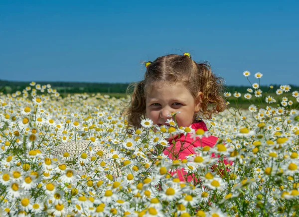 Çiçekli papatyalarla koca bir tarlada yürüyen bir kız.. 