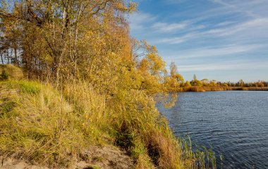 Göl kenarında güneşli bir sonbahar günü. 