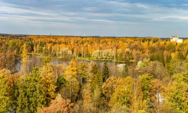 Pohled Podzimní Stromy Parku Gatchina Rozhledny Velkého Paláce — Stock fotografie