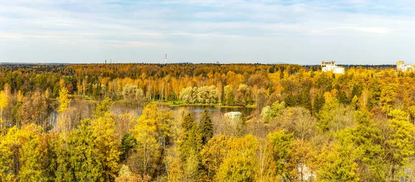 Büyük Saray Gözlem Kulesinden Gatchina Parkındaki Sonbahar Ağaçlarının Görüntüsü — Stok fotoğraf