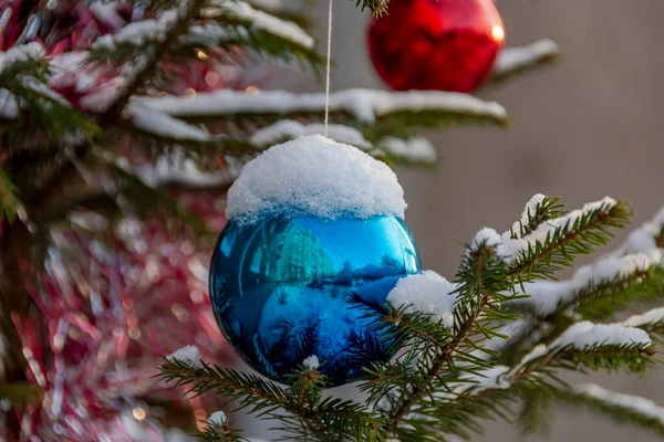Χριστουγεννιάτικες Μπάλες Κρέμονται Ένα Δέντρο Που Αναπτύσσεται Στην Πόλη Κοντά — Φωτογραφία Αρχείου