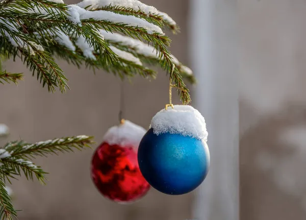 Weihnachtskugeln Hängen Einem Baum Der Der Stadt Der Nähe Eines — Stockfoto