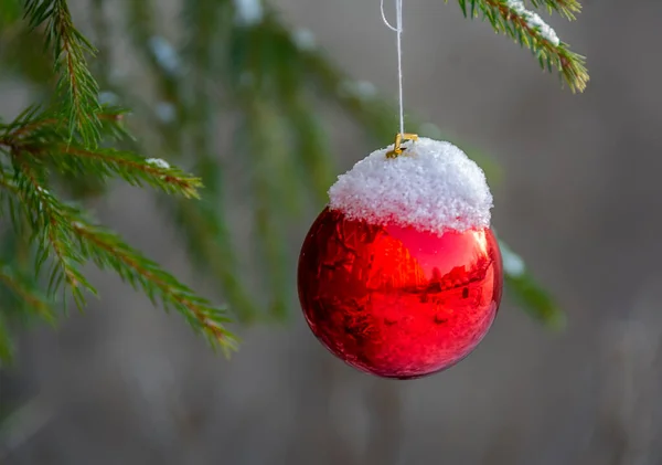 Χριστουγεννιάτικες Μπάλες Κρέμονται Ένα Δέντρο Που Αναπτύσσεται Στην Πόλη Κοντά — Φωτογραφία Αρχείου