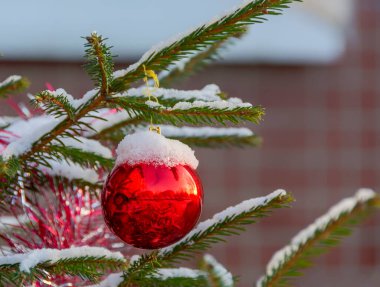 Şehirde bir apartmanın yakınında büyüyen ağaçta asılı duran Noel topları.. 