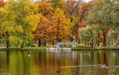 Gatchina 'daki Palace Park, 18. yüzyıla dayanan bu şehrin en önemli ilgi alanlarından biri. Bölgesi 143 hektardan fazladır ve görkemli imparatorluk bahçesi şehrin merkezinde yer almaktadır.. 