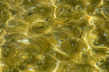 Pasifik Okyanusu şeffaf okyanus suyu dokusu. 