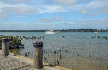 Hastings ön kıyı rezervi. Victoria, Avustralya. 18 Ocak 2014. Hastings Sahil Koruma Alanında Yürüyüş. 