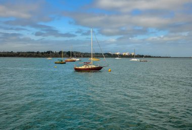 Hastings ön kıyı rezervi. Victoria, Avustralya. 18 Ocak 2014. Hastings Sahil Koruma Alanında Yürüyüş. 