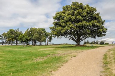 Hastings ön kıyı rezervi. Victoria, Avustralya. 18 Ocak 2014. Hastings Sahil Koruma Alanında Yürüyüş. 