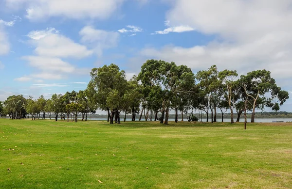 Hastings Foreshore Reserve Victoria Austrália Janeiro 2014 Caminhe Reserva Costeira — Fotografia de Stock