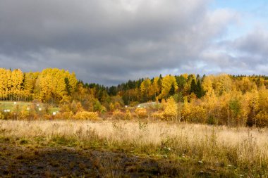 Karelia Cumhuriyeti 'nde sonbahar manzarası. 