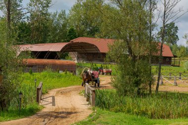 Sula köyü, 14, Stolbtsovsky bölgesi, Minsk bölgesi, Belarus. 9 Ağustos 2019. At arabasında çocuklar ve yetişkinlere binmek..