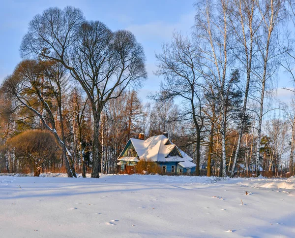 Nevsky Forest Park Leningrad Region December 2012 Morning Walk Forest — Stock Photo, Image