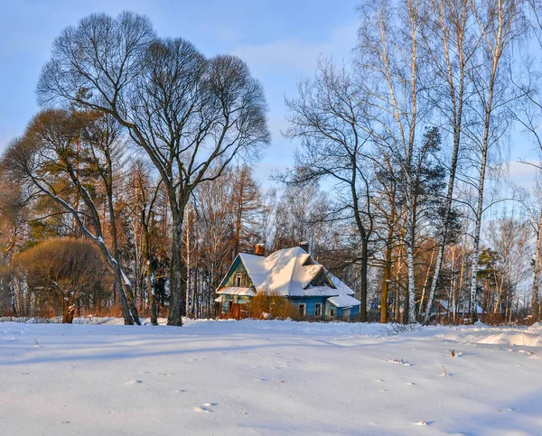 Taman Hutan Nevsky Wilayah Leningrad Desember 2012 Pagi Berjalan Melalui — Stok Foto