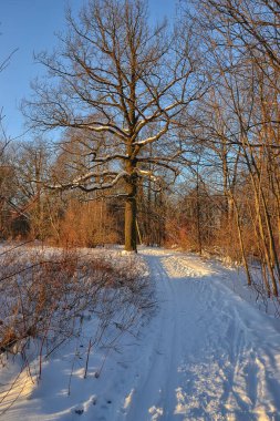 Eskiden eğlenceli ve kalabalık olan ihmal edilmiş bir park.. 