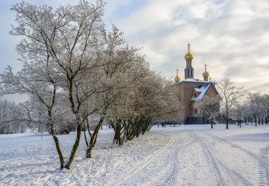 Rybatskoye St. Petersburg 'daki Neva Nehri' nin kıyısına park et. - Rusya. 10 Şubat 2021. Neva nehrinin kıyısında güneşli güzel bir kış günü. 