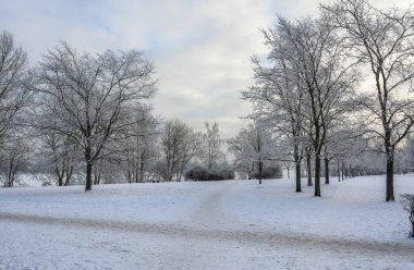 Rybatskoye St. Petersburg 'daki Neva Nehri' nin kıyısına park et. - Rusya. 10 Şubat 2021. Neva nehrinin kıyısında güneşli güzel bir kış günü. 