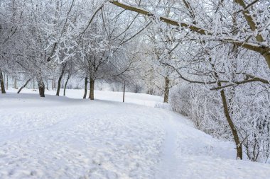 Rybatskoye St. Petersburg 'daki Neva Nehri' nin kıyısına park et. - Rusya. 10 Şubat 2021. Neva nehrinin kıyısında güneşli güzel bir kış günü. 