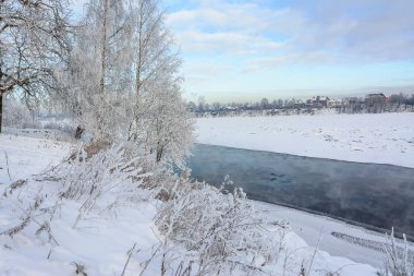 Rybatskoye St. Petersburg 'daki Neva Nehri' nin kıyısına park et. - Rusya. 10 Şubat 2021. Neva nehrinin kıyısında güneşli güzel bir kış günü. 
