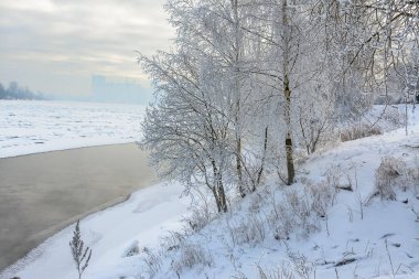 Rybatskoye St. Petersburg 'daki Neva Nehri' nin kıyısına park et. - Rusya. 10 Şubat 2021. Neva nehrinin kıyısında güneşli güzel bir kış günü. 