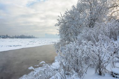 Rybatskoye St. Petersburg 'daki Neva Nehri' nin kıyısına park et. - Rusya. 10 Şubat 2021. Neva nehrinin kıyısında güneşli güzel bir kış günü. 