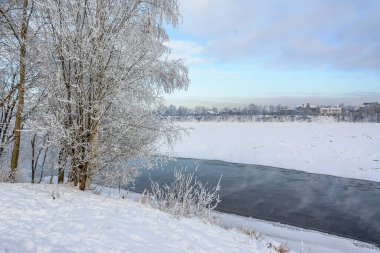 Rybatskoye St. Petersburg 'daki Neva Nehri' nin kıyısına park et. - Rusya. 10 Şubat 2021. Neva nehrinin kıyısında güneşli güzel bir kış günü. 