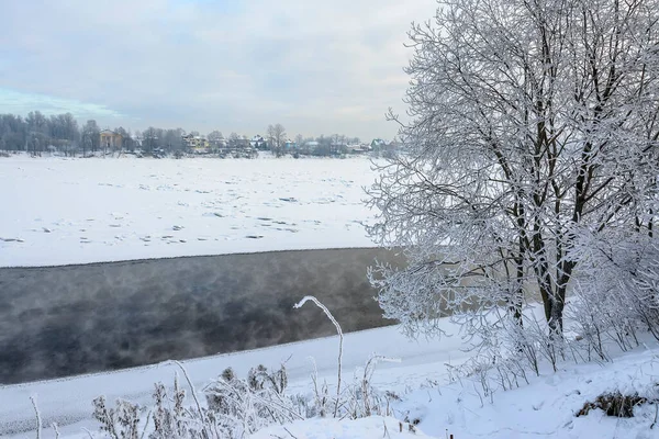 Parque Orillas Del Río Neva Rybatskoye San Petersburgo Rusia Febrero — Foto de Stock