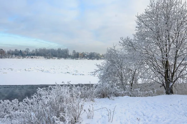 Park Banks Neva River Rybatskoye Petersburg Russia February 2021 Beautiful — Stockfoto
