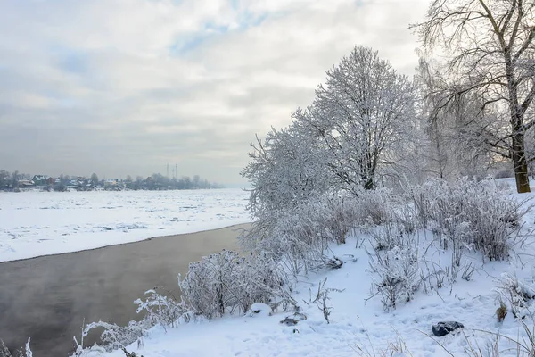 Rybatskoye St. Petersburg 'daki Neva Nehri' nin kıyısına park et. - Rusya. 10 Şubat 2021. Neva nehrinin kıyısında güneşli güzel bir kış günü. 
