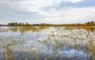 Autumn landscape with a lake on a cloudy day. 
